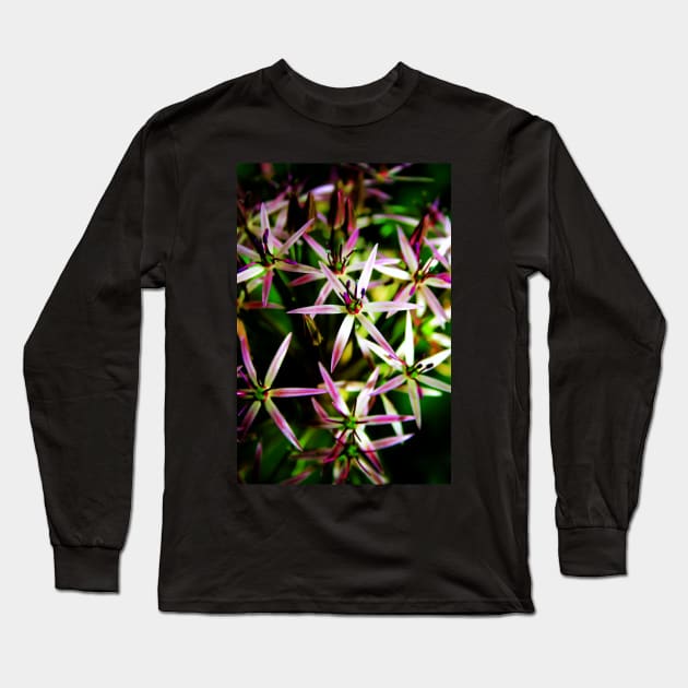 Allium Flower Macro Long Sleeve T-Shirt by InspiraImage